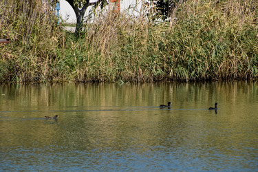 Similar image 21488552