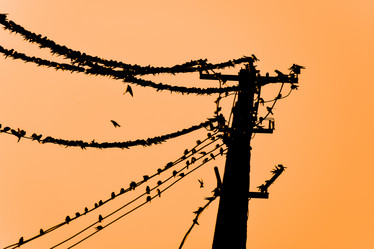 Similar image 21486755