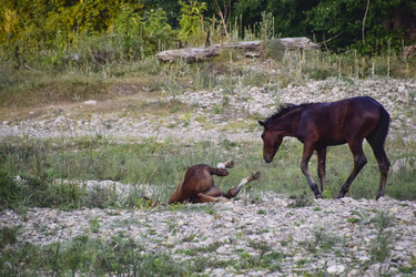 Similar image 21486757