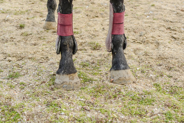 Similar image 21486758