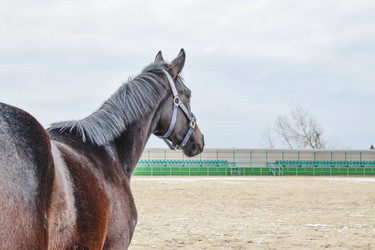 Similar image 21487897