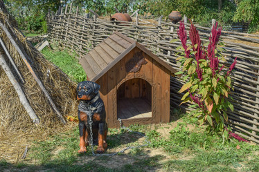 Similar image 21488564