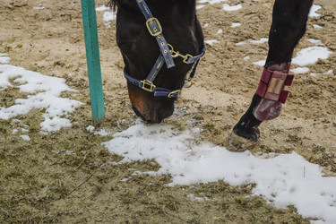 Similar image 21486780