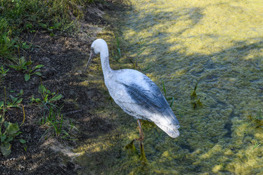 Similar image 21486788