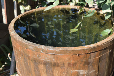 Similar image 21487901