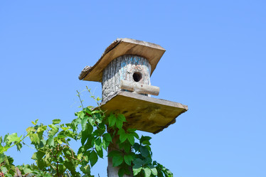 Similar image 21487903