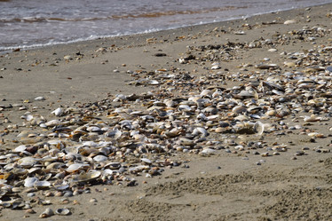 Similar image 21488585