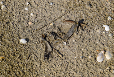 Similar image 21488608