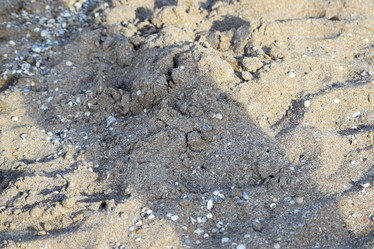 Similar image 21486795