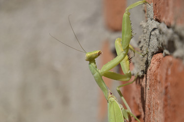 Similar image 21487915