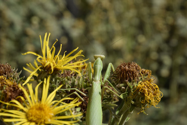 Similar image 21487916