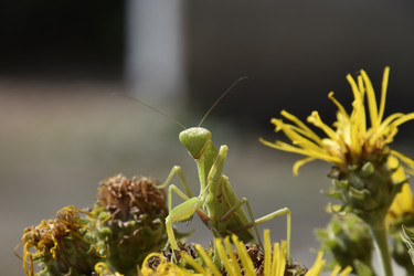 Similar image 21487922