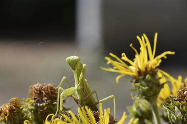 Similar image 21487924