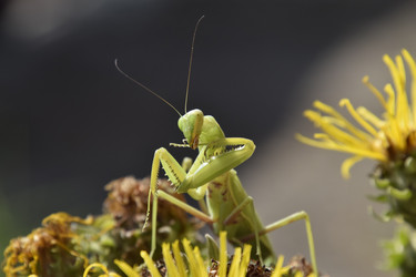 Similar image 21487926