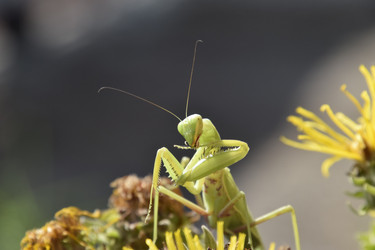 Similar image 21487928