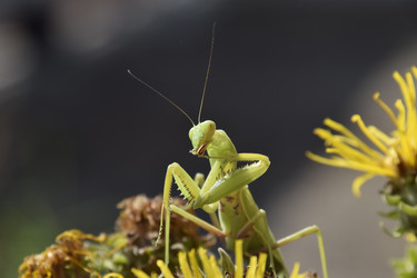 Similar image 21487930