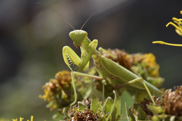 Similar image 21487932