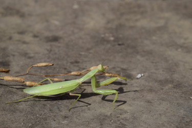 Similar image 21487934