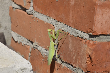 Similar image 21487935