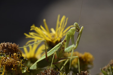 Similar image 21487941