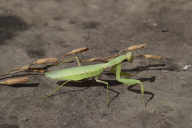 Similar image 21487942