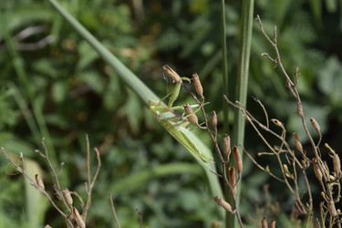 Similar image 21487945