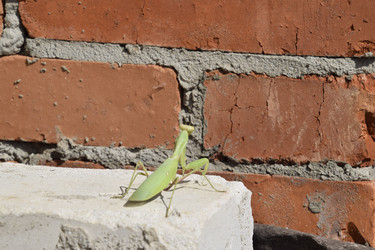 Similar image 21487946