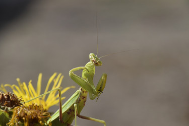 Similar image 21488612