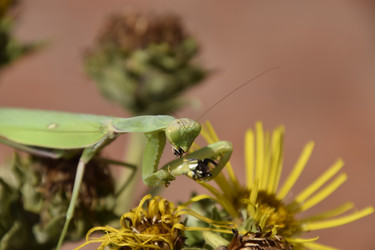 Similar image 21488614