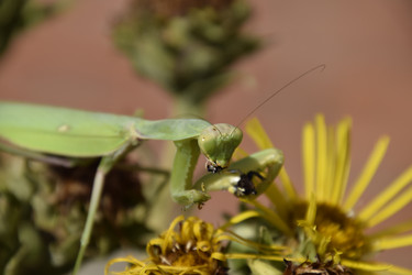 Similar image 21488616