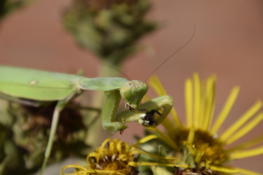 Similar image 21488617