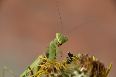 Similar image 21488621