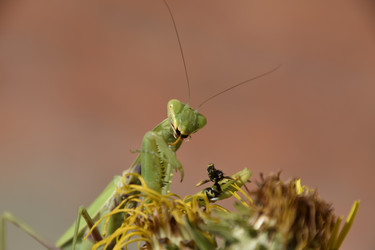 Similar image 21488623