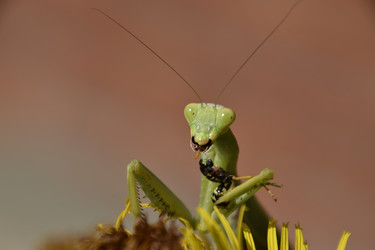 Similar image 21488624