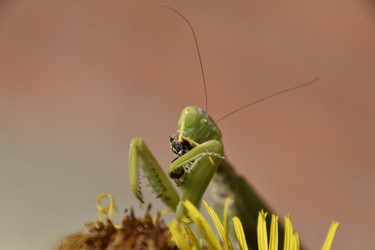 Similar image 21488625