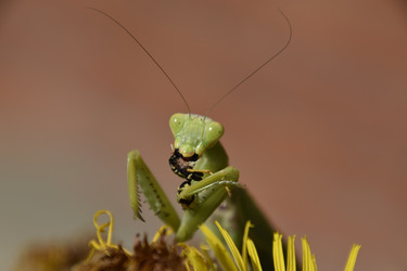 Similar image 21488628