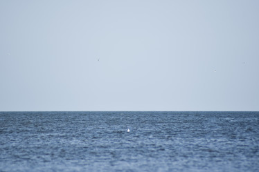 Similar image 21488651