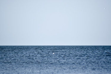 Similar image 21488664