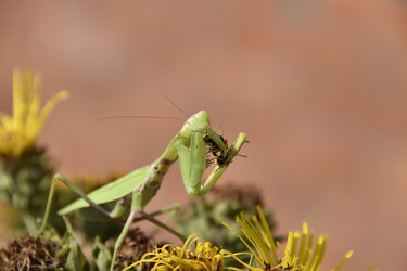 Similar image 21488680