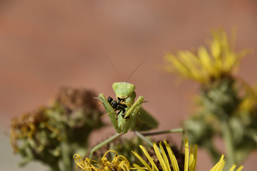 Similar image 21488693