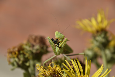 Similar image 21488694