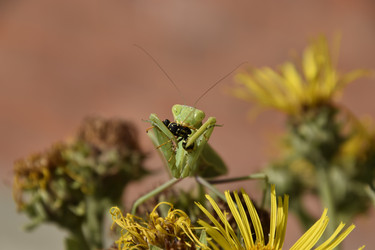 Similar image 21488695