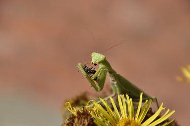 Similar image 21488696