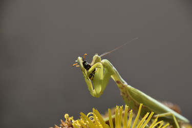 Similar image 21488698