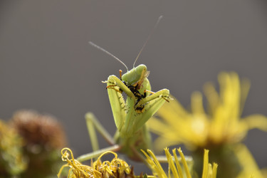 Similar image 21488700