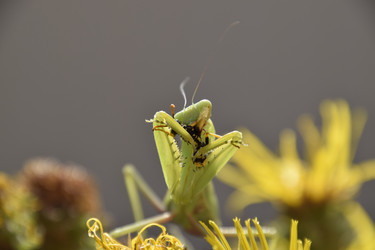 Similar image 21488701