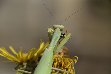 Similar image 21488702