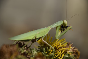 Similar image 21488721