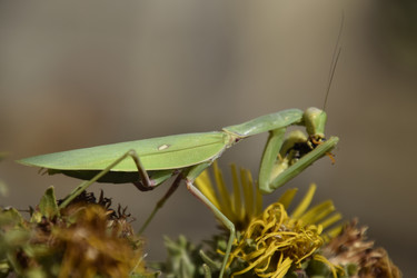 Similar image 21488722