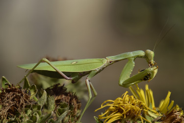 Similar image 21488723